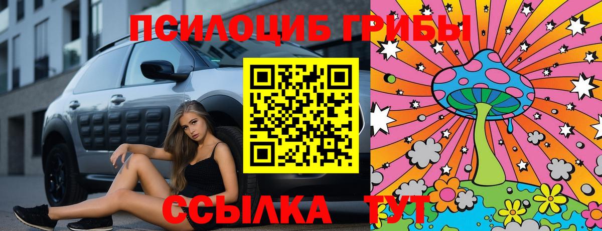 Галлюциногенные грибы Magic Shrooms Корсаков